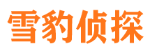 霍林郭勒婚外情调查取证